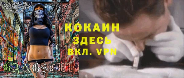 винт Алексин