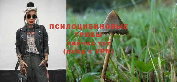 метадон Алексеевка