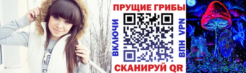 Псилоцибиновые грибы Cubensis  Тосно 