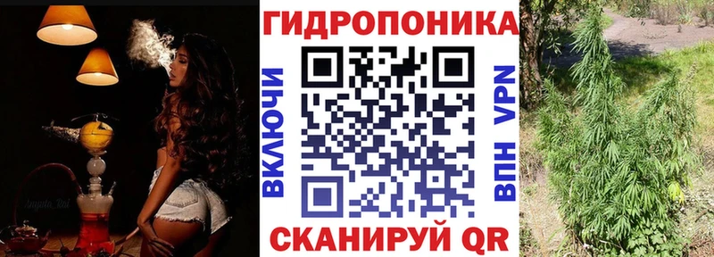 Марихуана сатива  Тосно 